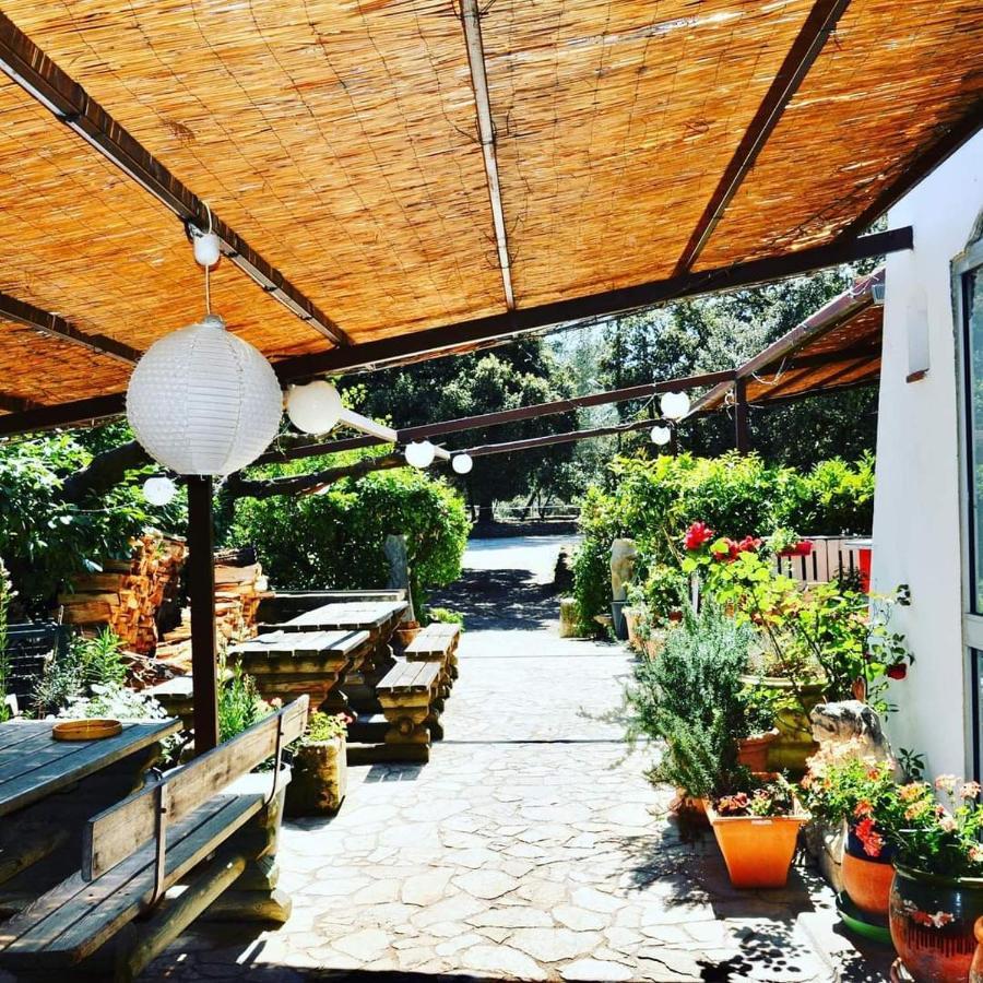 Domaine Du Berange Hotel Saint-Geniès-des-Mourgues Eksteriør billede